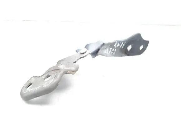 Tesla Model 3 Engine bonnet/hood hinges 109879200