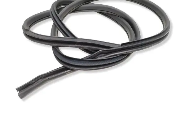 Nissan Leaf II (ZE1) Rear door rubber seal (on body) 