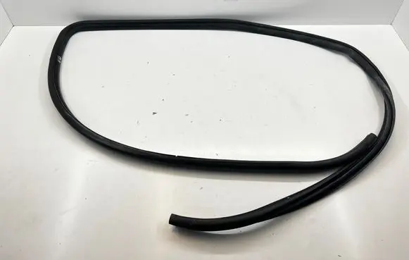 Toyota Hilux (AN10, AN20, AN30) Front door rubber seal