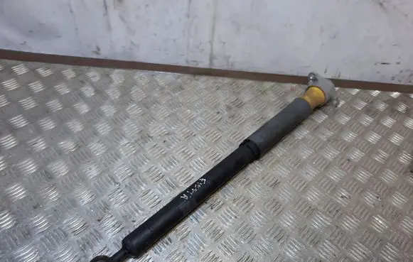 Ford Fiesta Rear shock absorber/damper X344J2