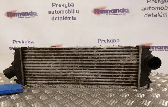 Renault Trafic II (X83) Intercooler radiator 8200411160 988650B 93854162