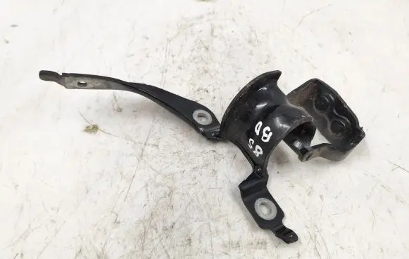 Tailgate/trunk/boot hinge