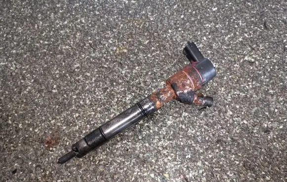 Hyundai Matrix Fuel injector 0445110223