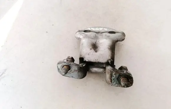 Rear door lower hinge