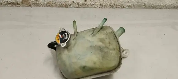 Coolant expansion tank/reservoir