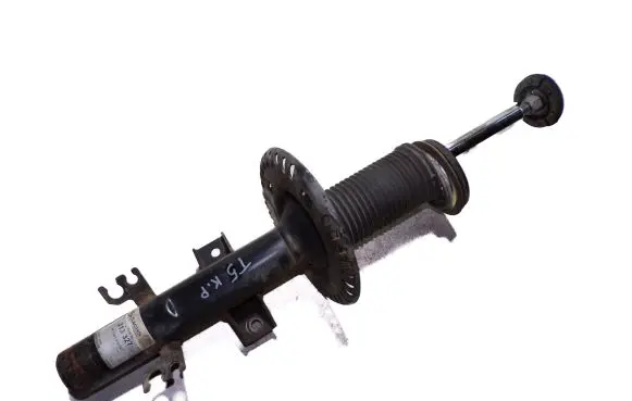 Volkswagen Transporter - Caravelle T5 Front shock absorber/damper 313327