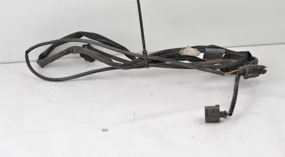 Other wiring loom