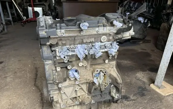 Volkswagen PASSAT B6 Engine BVX