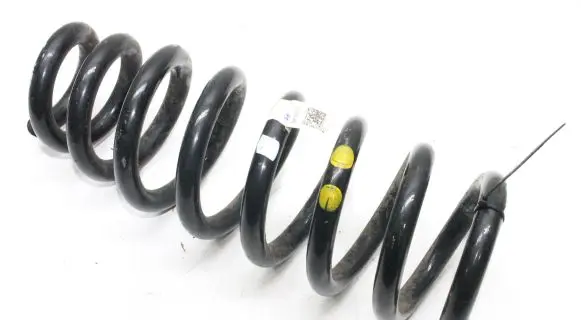 Hyundai Ioniq 5 Rear coil spring