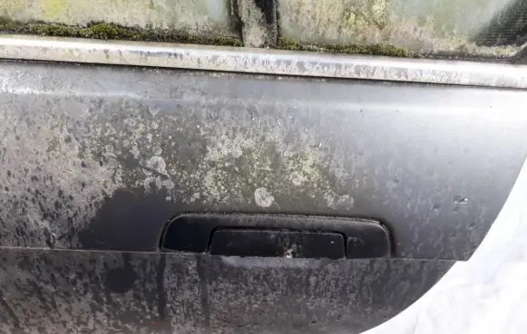 BMW 7 E32 Front door exterior handle