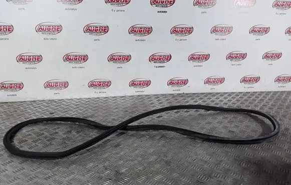 Audi Q5 SQ5 Rear door rubber seal (on body) 8R0833721D