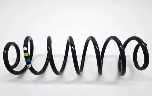 Rear coil spring
