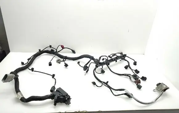 Engine installation wiring loom