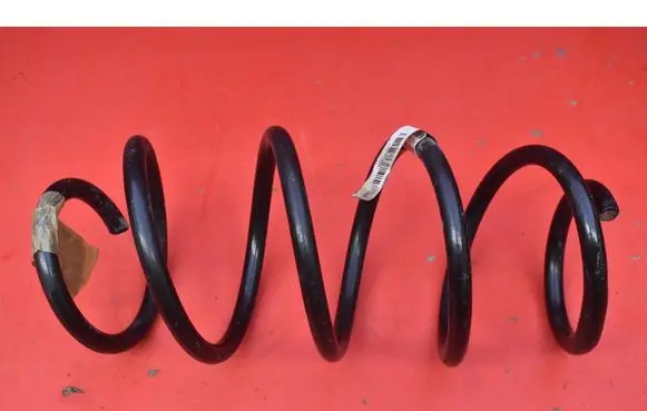 BMW X3 F25 Front coil spring 6787142