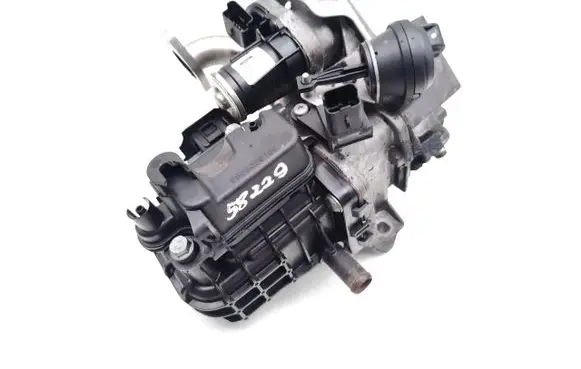 EGR valve