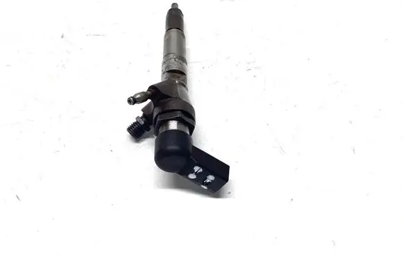 Nissan Qashqai Fuel injector H8201100113 166006212R