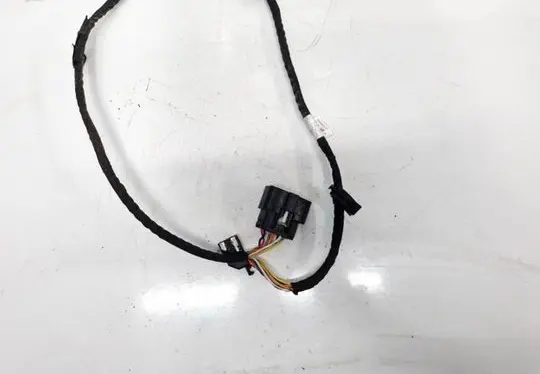 Tesla Model S Other wiring loom 102495601A
