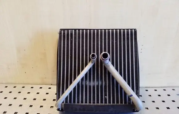 Volkswagen Polo IV 9N3 Air conditioning (A/C) radiator (interior) H2605002