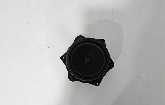 Polestar 4 Front door speaker 80009668 P8892151123 V574246