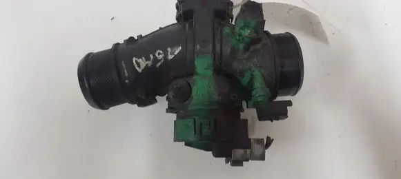 Citroen C4 I Throttle valve 9660030480