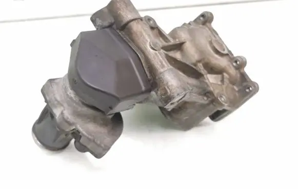 Volkswagen Polo V 6R EGR valve