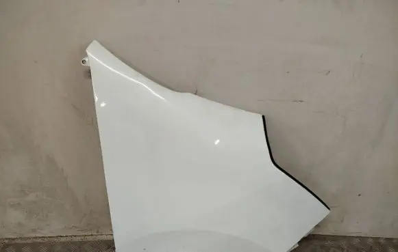 Renault Master III Fender 631000936R