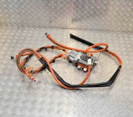 Tesla Model S Other wiring loom 109700000F 105586810D