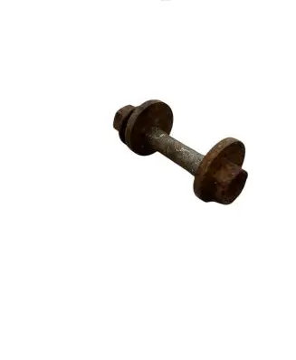 BMW X5 E53 Rear suspension camber bolt 