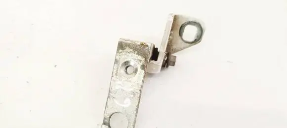 Ford Focus Rear door lower hinge