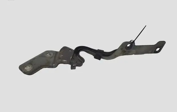 Renault Clio III Engine bonnet/hood hinges