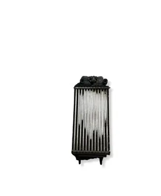 DS Automobiles 3 Crossback Intercooler radiator 9824742280 JD1271006520 9835727780
