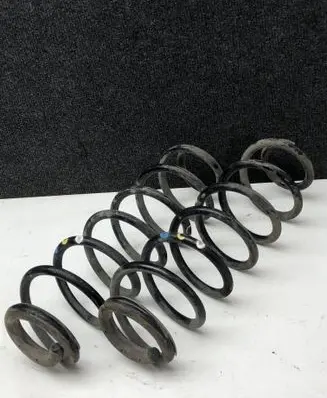 Rear coil spring