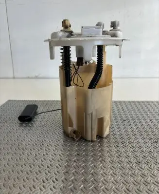 Citroen DS4 In-tank fuel pump 11314