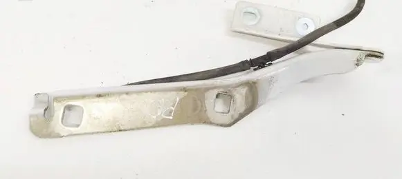 Peugeot Partner Engine bonnet/hood hinges 9680631380