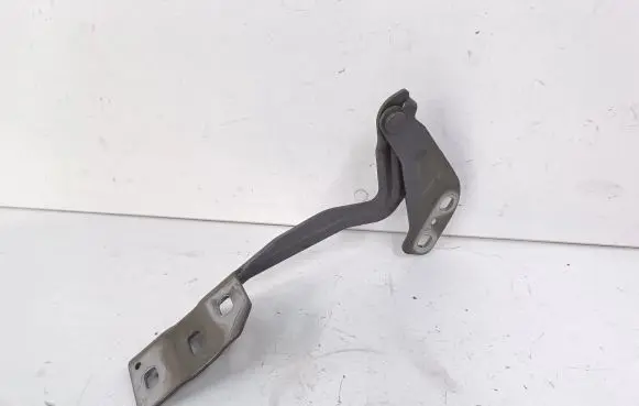 Ford Fusion II Engine bonnet/hood hinges DS73F16800AB