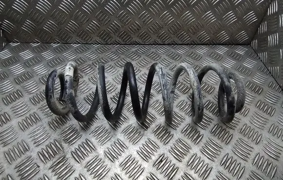Rear coil spring
