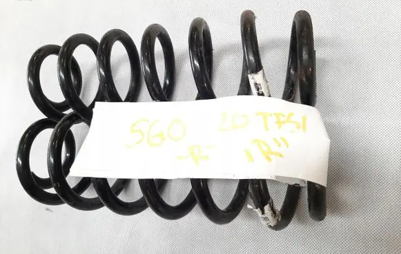 Rear coil spring