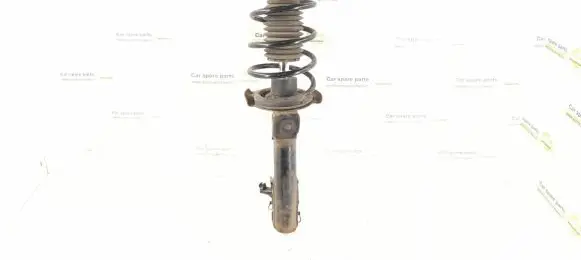 Mercedes-Benz A W169 Front shock absorber/damper 1693200130 1693200830