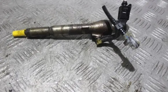 Renault Megane III Fuel injector
