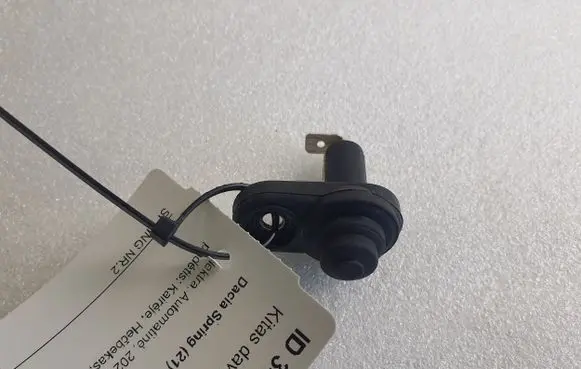 Dacia Spring Sensor N103L0