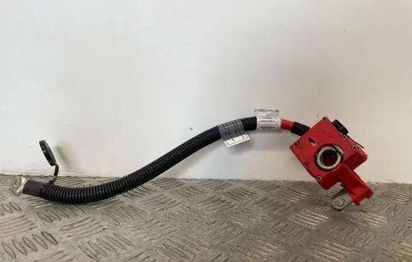 BMW X5 E70 Positive cable (battery) 9217004 921700401