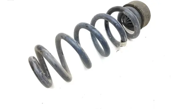 Rear coil spring