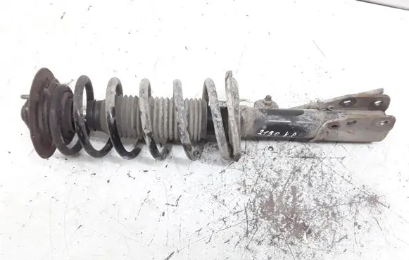 Chevrolet Captiva Front shock absorber with coil spring