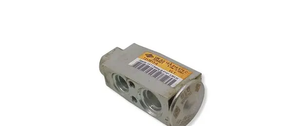 Cupra Born Air conditioning (A/C) expansion valve 1EA816679C