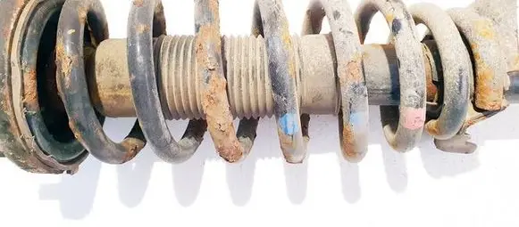 Honda Accord Front coil spring