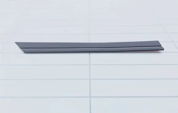 Rear door trim (molding)