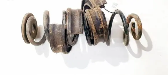 Volkswagen Golf Plus Rear coil spring
