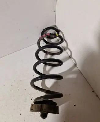 Rear coil spring