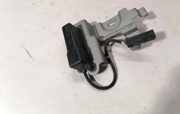 Lexus RX 450H Tire pressure control unit 8976830010