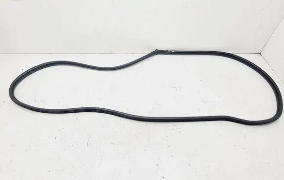 Nissan Note (E11) Front door rubber seal